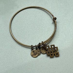 Alex and Ani energy technology bracelet